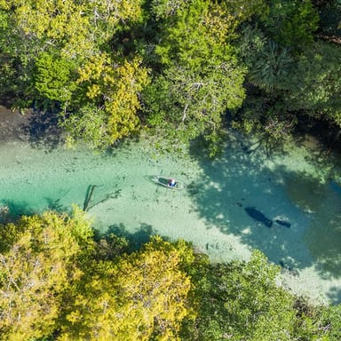 Weeki Wachee Clear Kayak Manatee Ecotour