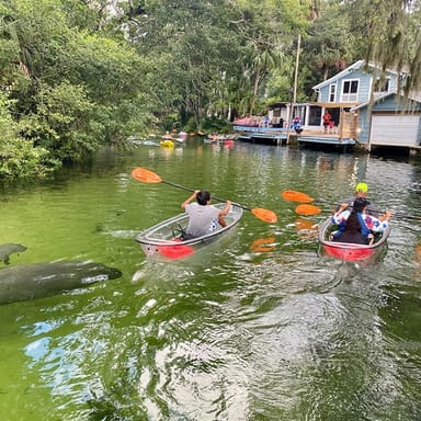 Weeki Wachee Clear Kayak Manatee Ecotour