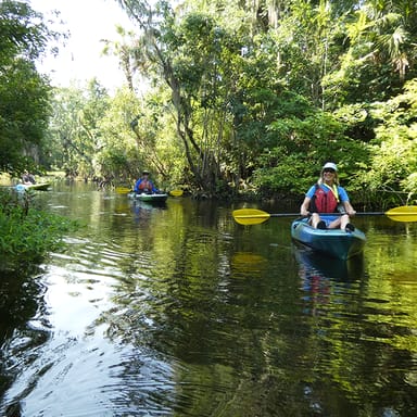 Wekiva River Kayak Adventure