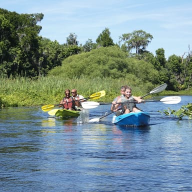 Wekiva River Kayak Adventure