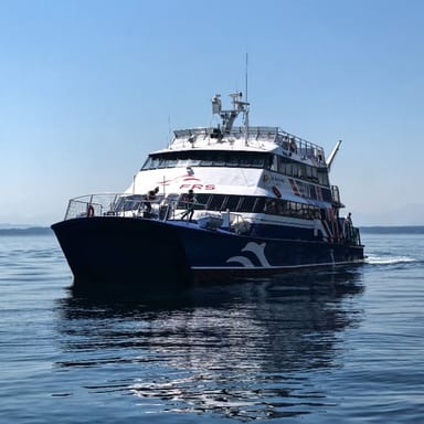 Wildlife and Whale Watching Expedition