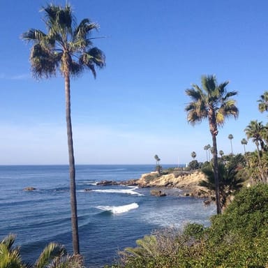 Whale Watching and Beach Tour