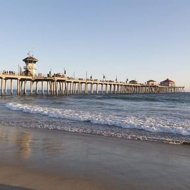 Whale Watching and Beach Tour