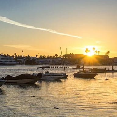 Whale Watching and Beach Tour