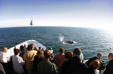 Go City | San Diego Essentials Pass - 3 Attractions