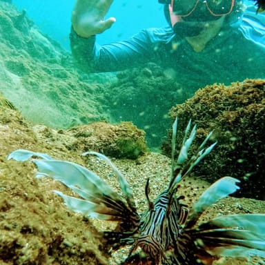 Isla Verde Snorkeling Adventure