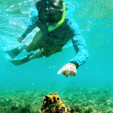 Isla Verde Snorkeling Adventure