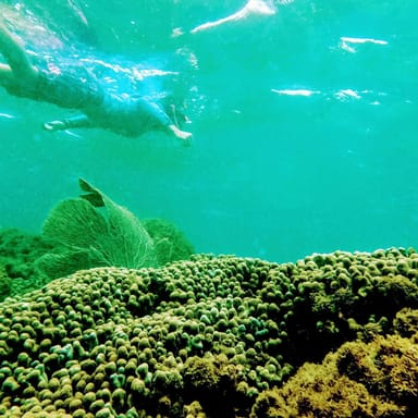 Isla Verde Snorkeling Adventure