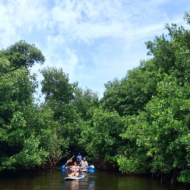 Piñones Mangrove Paddleboard Adventure with Coconut Drink