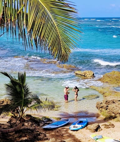Piñones Mangrove Paddleboard Adventure with Coconut Drink