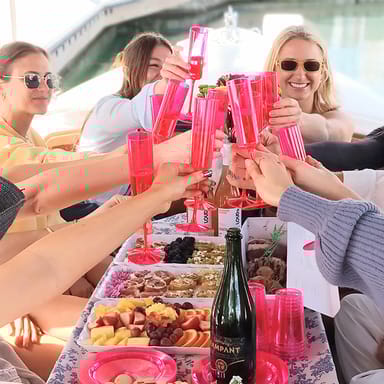 Wildlife, Wine, and Charcuterie Duffy Boat Cruise