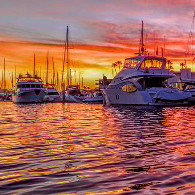 Wildlife, Wine, and Charcuterie Duffy Boat Cruise