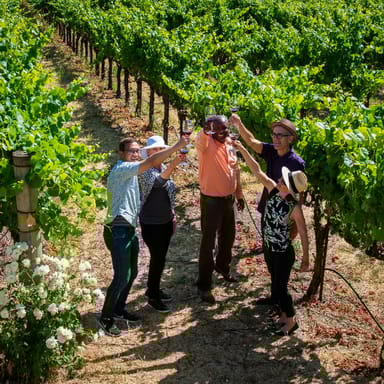 Redwoods & Wine Country Lunch Tour