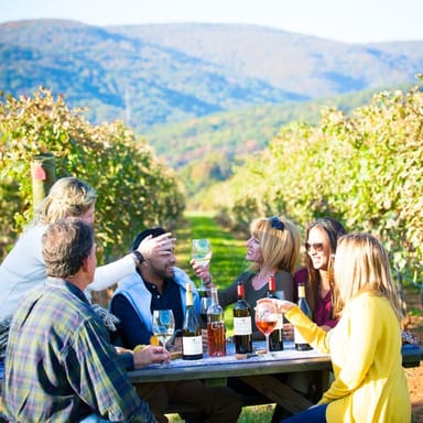 At-Home Wine Tasting Experience