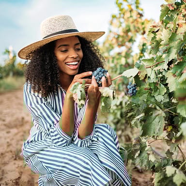 Redwoods & Wine Country Tour