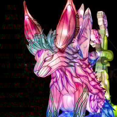 Winter Lantern Festival Season Pass