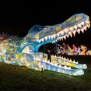 Winter Lantern Festival Season Pass