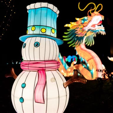 Winter Lantern Festival
