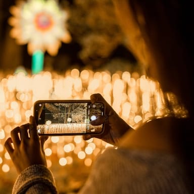 Winter Lantern Festival Season Pass