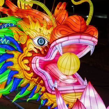 Winter Lantern Festival Season Pass