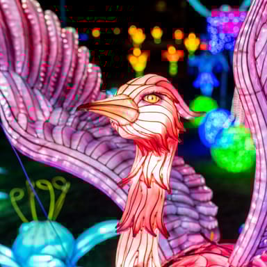 Winter Lantern Festival Season Pass