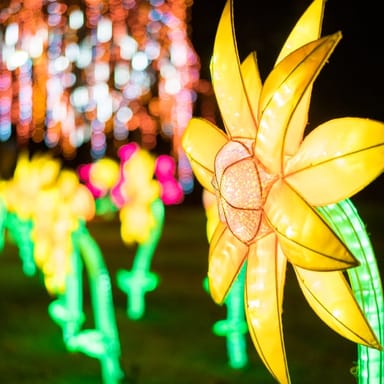 Winter Lantern Festival Season Pass