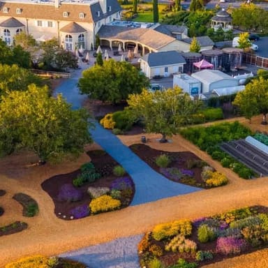 Redwoods, Wine, and Dine Tour