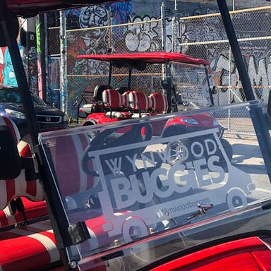 Wynwood Art District Buggies Tour