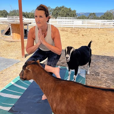 Goat Yoga Session at Charlie’s Acres