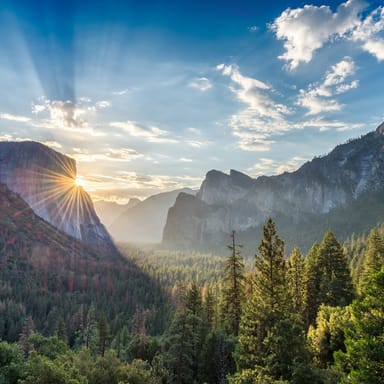 All-Day Yosemite National Park Tour