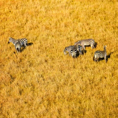 Private Virtual Drone Flight Experience