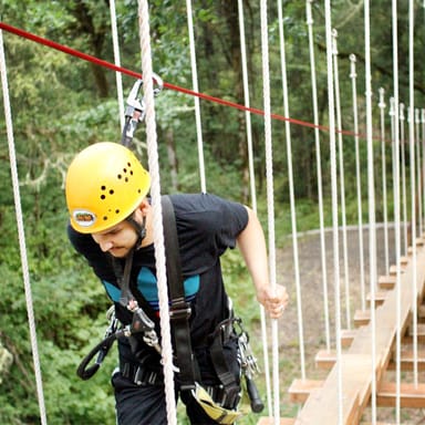 Aerial Adventure Course