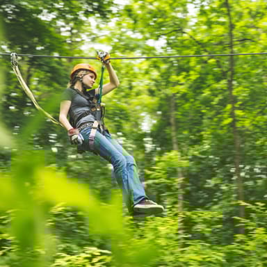 Zipline Canopy Tour