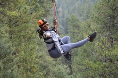 Zipline Tour and Beer Tasting - Conifer