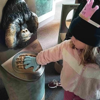 Lincoln Park Zoo Scavenger Hunt